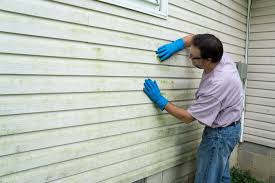 Best Historical Building Siding Restoration  in Sierra Vista, AZ